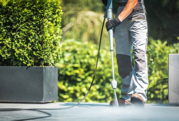 Best Building Exterior Washing  in Sea Bright, NJ