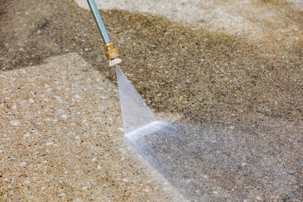 Best Dumpster Area Cleaning  in Sea Bright, NJ