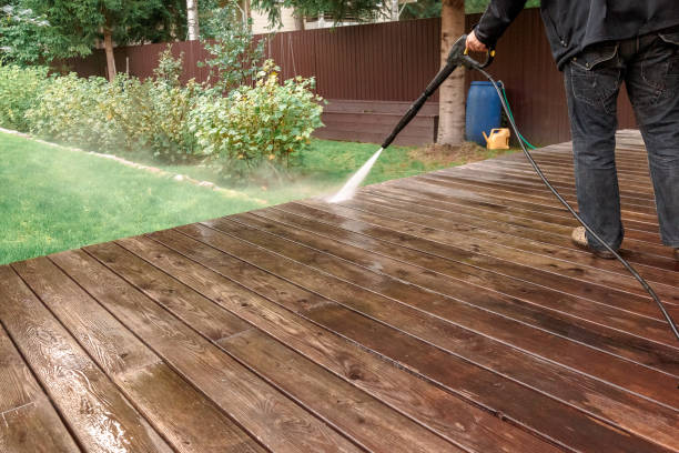 Best Animal Enclosure Cleaning  in Sea Bright, NJ